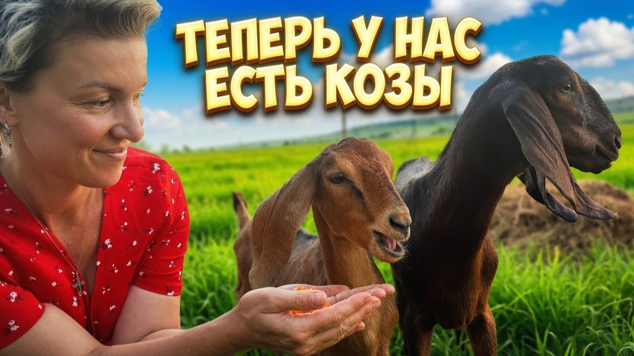 ⚫Мы поехали за одной, а привезли четверых! Наше безумное пополнение