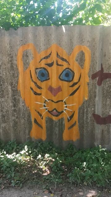 Тигрёнок