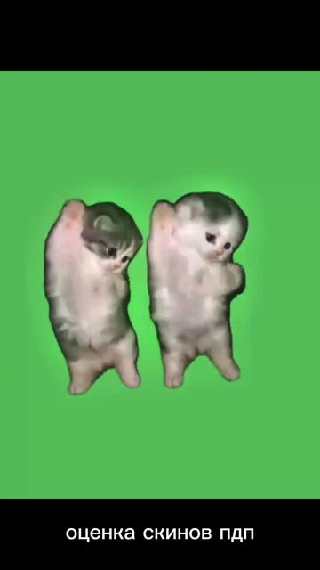 оценка скинов пдп