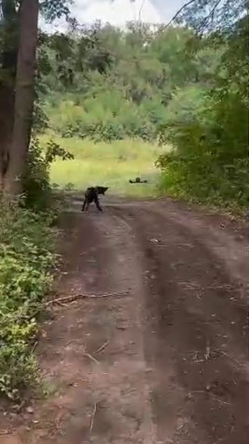 Сегодня мы ещё на один день ближе к Победе