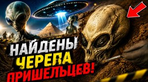 У ПРИШЕЛЬЦЕВ вытянутые ЧЕРЕПА - Рептилоиды против Нордиков