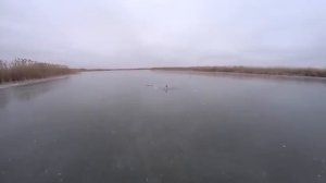 УШЁЛ ОТ ВСЕХ!! Здесь рыбы БОЛЬШЕ, чем Я ДУМАЛ!! Бешеный клёв на ЖЕРЛИЦЫ по ПЕРВОМУ ЛЬДУ!!