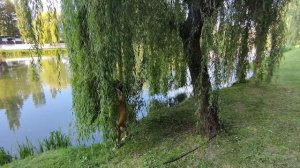 А я живу и я живая..... 07.08.26.