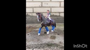 Оственд на соревнования 🐎🖤