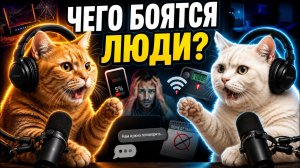 ТОП-5 СТРАХОВ ЛЮДЕЙ | Коты раскрыли всю правду, на подкасте!