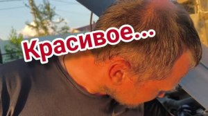 Красивое... Египетская сила картошки. Нетрадиционный клубничный сержант. Про погреб и окулиста.