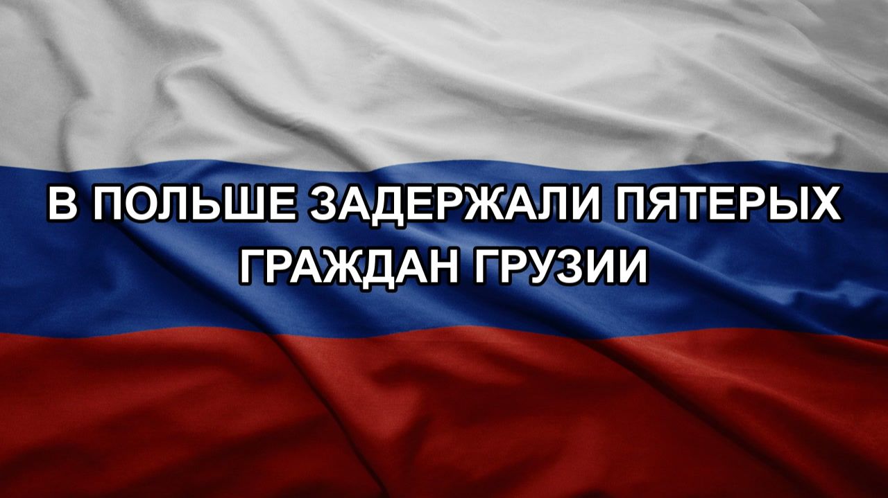 В Польше задержали пятерых граждан Грузии