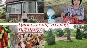 Цены на рынке. На даче вместе работаем и отдыхаем!