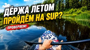 Река Дёржа летом на SUP — реально ли пройти?