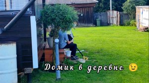 🏞️ Собственное озеро с лягушками. 🌳Старый скворечник.🏡 Жизнь в деревне.Шикарная гортензия