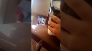 Animal hospital аномалии в реальной жизни часть 3 нападение Продолжение следует