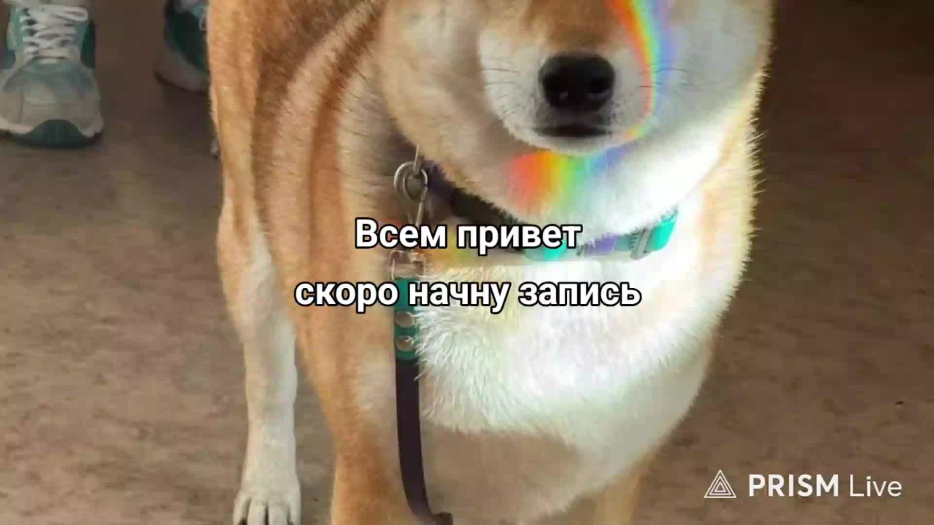 Смотрим фильм
