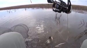 Забросил ПОПЛАВОК в ЗАРОСШИЙ РУЧЕЙ, и ЗДЕСЬ КАРАСИ!! Наконец-то нашёл ЭТО МЕСТО!! Карась на ПОПЛАВОК