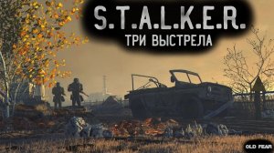 STALKER. Три выстрела. Аудиокниги.