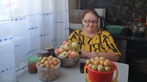 Дача. Посадка голубики. Собрали урожай.
