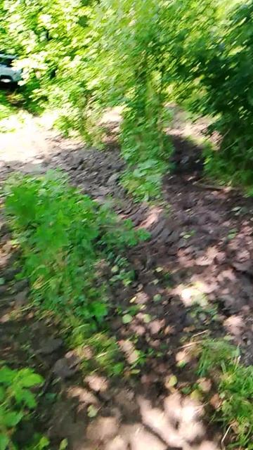 едем в гости к барам )