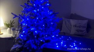 Мультифункциональная нить СТРИНГ ЛАЙТ, 77 синих LED-огней, 6,5+2 м, контроллер, EAL-77-IP44-K-B