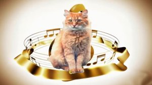 РЫЖИЙ КОТ