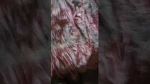 сериал совместная жизнь злата Миша Ярик