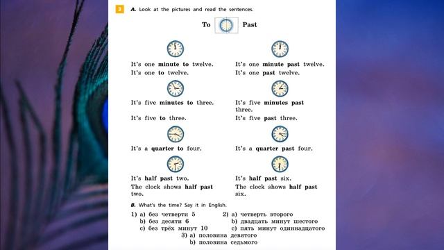 Rainbow English 5-1, Unit 3 Step 2, Английский язык 5 класс ч.1, Афанасьева
