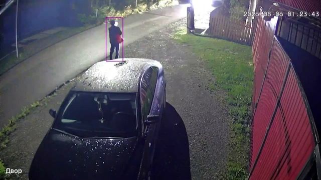 Медведица с медвежатами на улице в городе в Свердловской области