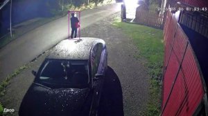 Медведица с медвежатами на улице в городе в Свердловской области