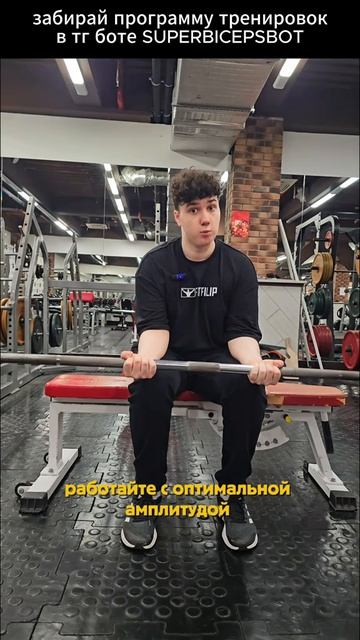 Сгибания предплечий со штангой. Забирай лучшую программу тренировок в тг боте SUPERBICEPSBOT. Тре...