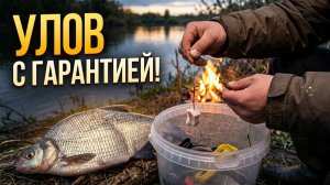 Рыбалка на ДОНКИ с берега! Всегда клюет?