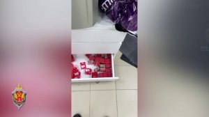Взломщиков сотен аккаунтов на «Госуслугах» задержали волгоградские силовики