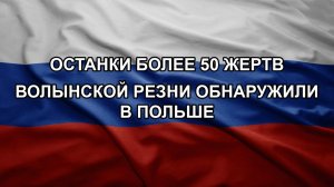 Останки более 50 жертв Волынской резни обнаружили в Польше