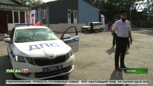 В ингушском лагере «Нефтяник» прошла профильная смена при участии Росгвардии и ДПС
