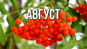 Август в Сибири