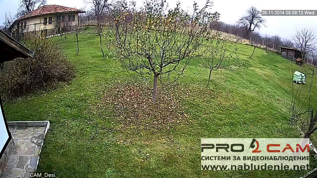 ProCam IPC-36C 1.0 Megapixel(720P)