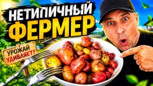 НЕТИПИЧНЫЙ ФЕРМЕР | Урожай удивляет! | Эндбор