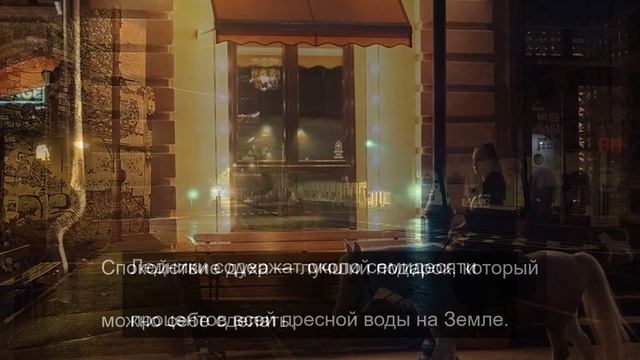 в поисках утраченного смысла 6