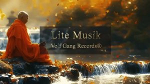 Volf Gang Records®: Lite Muzik