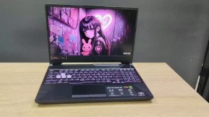 Ноутбук ASUS TUF Gaming A15 FA506NF-HN018