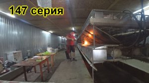 147 серия Важные дела на ферме часть 2