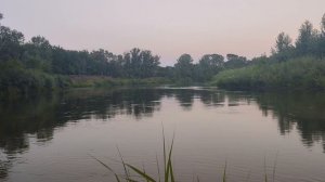 Вода всегда знает, куда течет.