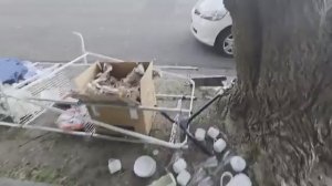 Я в ШоКе Ночью на мусорке нашли клад Это надо видеть Не свалка а антикварный магазин