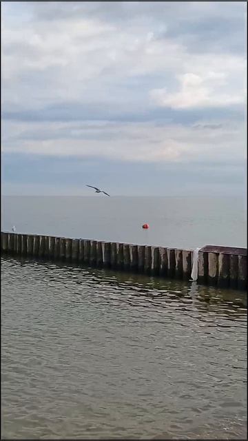 Балтийское море в городе Зеленоградске 06..08.2026