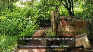 волшебные звуки со смыслом 4