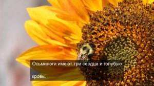 уникальный обзор реальности 2