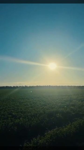 Доброе утро!🌤️