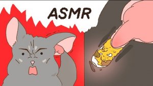 ASMR сказка: шиншилла учится заботиться об ушках — шёпот ватной палочки!
