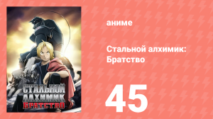 Стальной алхимик: Братство 45 серия «Условленный день» (аниме-сериал, 2009)