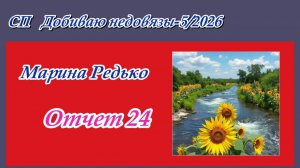 СП «Добиваю недовязы-5/2026» / Отчет 24