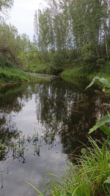Глаз не оторвать от такой красоты Сибирской природы