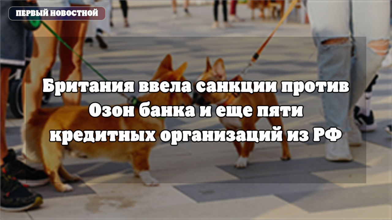 Британия ввела санкции против Озон банка и еще пяти кредитных организаций из РФ