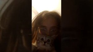 заходите на трансляцию ребята